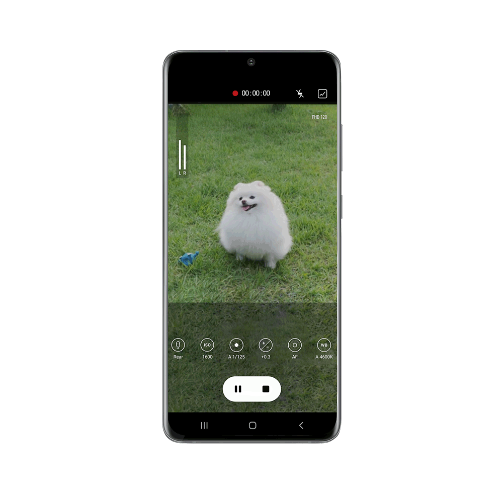 UI of changing mic direction while filming a puppy on the Galaxy S20