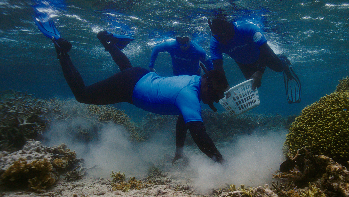 Body image for Samsung Deepens its Commitment to the World’s Oceans by Leveraging Galaxy Technology