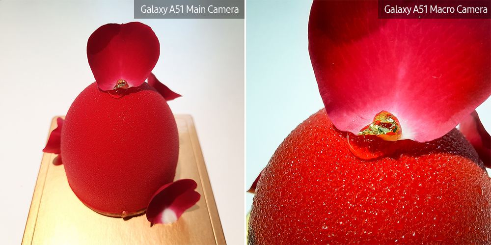 Galaxy A51 Macro Lens 1-1